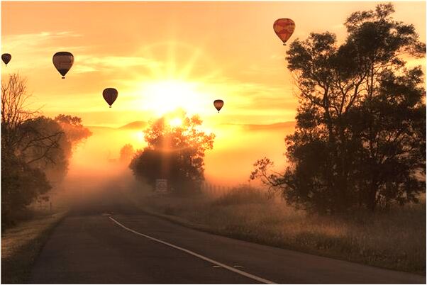 夢到男子生殖器官的預兆_周公解夢官網