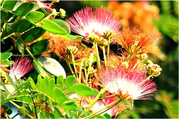 夢到自己腰結婚是什麼啟示_周公解夢官網