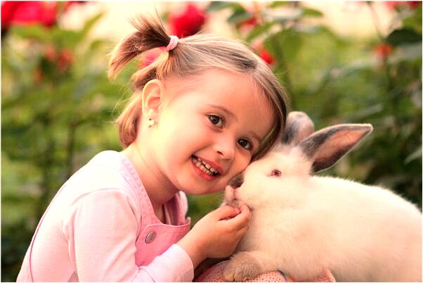 夢到了睡著被人搶包是啥預兆_周公解夢官網