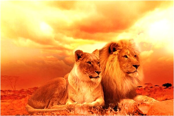 夢見別人回收鐵絲有什麼說法_周公解夢官網