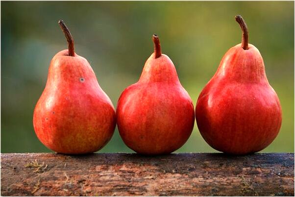 夢到了自己砍伐楊樹是凶兆還是吉兆_周公解夢官網