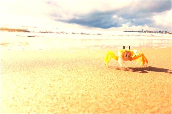 夢見一個陽生老男人吻自己意味著什麼_周公解夢官網