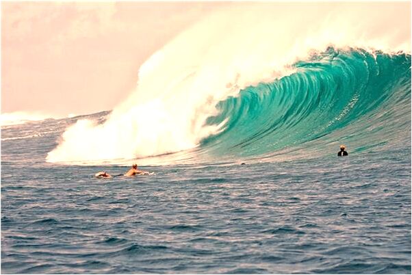 夢到了咬住了蜘蛛意味什麼_周公解夢官網
