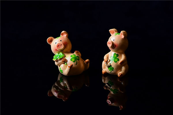 2022年屬豬的多大_十二生肖