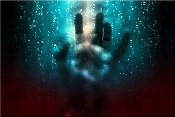 夢見抓了很多金魚有什麼寓意嗎？_周公解夢官網