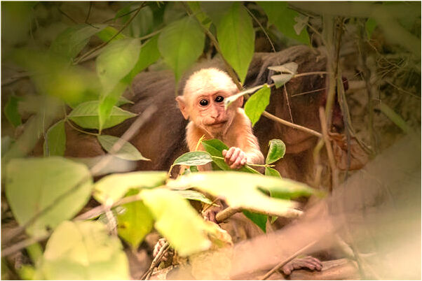 夢到自己中毒住院同學來探望啥意思_周公解夢官網