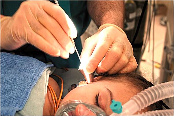 夢到好多小金魚有什麼寓意嗎_周公解夢官網