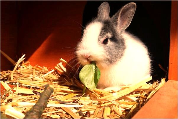 夢到了天空突然變黑是什麼預兆_周公解夢官網