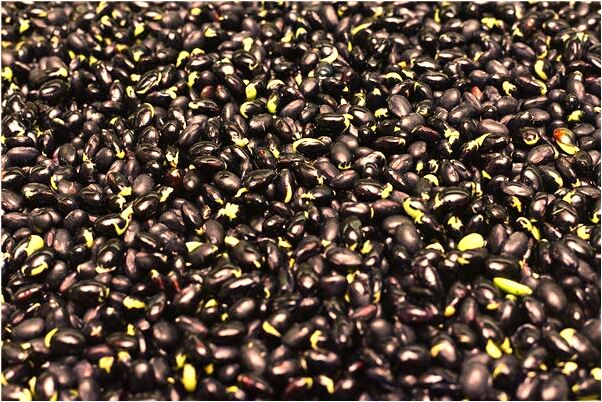 夢到了與情人不歡而散預示什麼_周公解夢官網