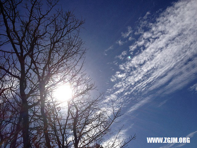 夢見釣龍蝦_周公解夢夢到釣龍蝦是什麼意思_做夢夢見釣龍蝦好不好_周公解夢官網