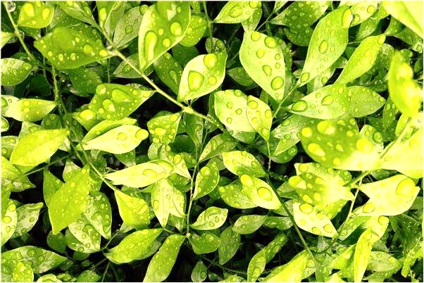 夢到了老公是表哥是好事還是壞事_周公解夢官網