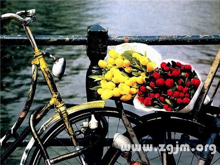 屬於巨蟹座你的專屬歌詞_十二星座