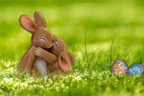 生肖兔2021年的歲數_十二生肖