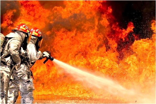 夢見白雞啄我預兆了什麼嗎_周公解夢官網