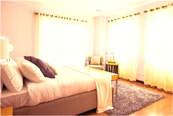 夢到了懷孕狗狗會是什麼預兆_周公解夢官網