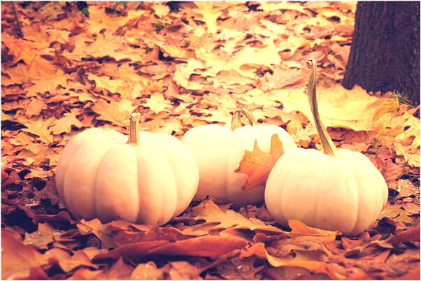 夢到前女友有小孩子了是什麼徵兆_周公解夢官網