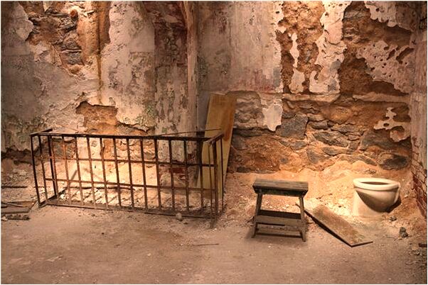 夢到了懷孕白色的貓是什麼徵兆_周公解夢官網