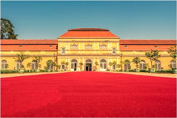 夢到了玉蘭花開是什麼意思_周公解夢官網