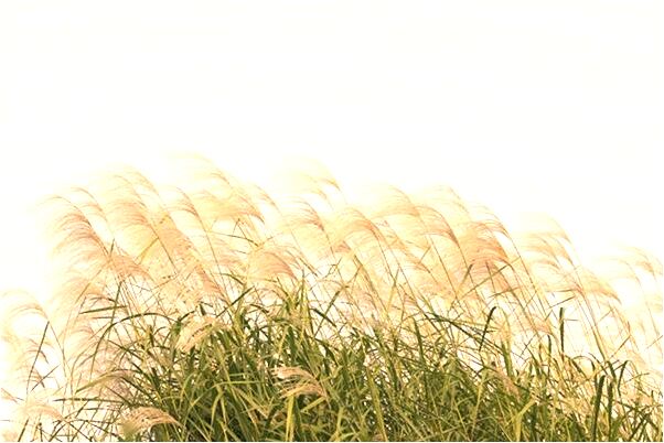 夢到了別人跟我留了錢預兆了什麼嗎_周公解夢官網