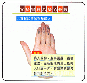 The length of the index and ring fingers