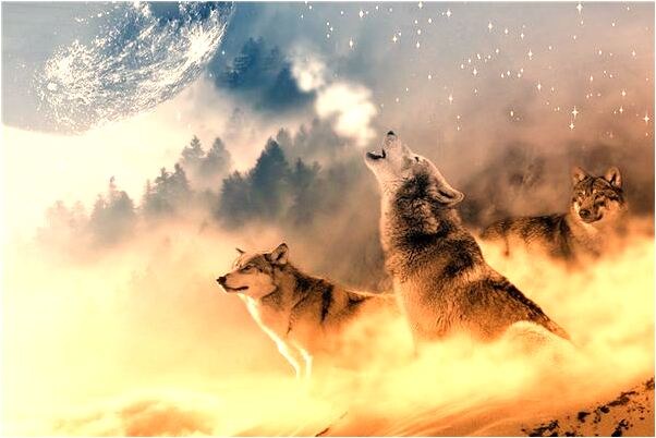 夢見坐車好多人好多車有什麼意義嗎_周公解夢官網