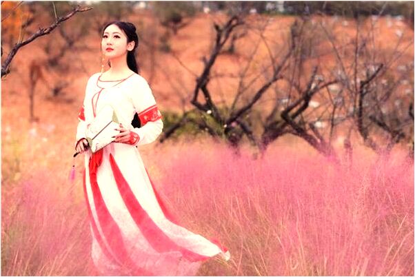 夢到樹樁長東西是咋回事_周公解夢官網