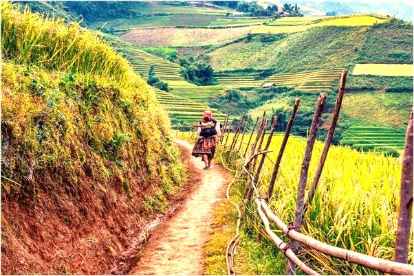 夢到在糞坑洗澡意味著什麼_周公解夢官網