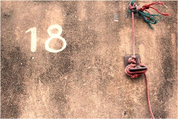 夢到下河抓魚有什麼含義_周公解夢官網