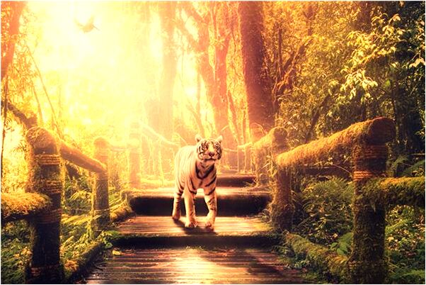 夢到正在施工的大樓倒塌意味著什麼_周公解夢官網