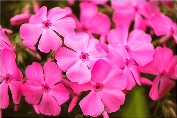 夢見女同學裸體被老師教育是咋回事_周公解夢官網