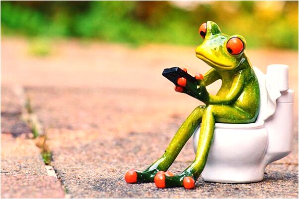 夢見夢坐在大象的背上拍照會是什麼預兆_周公解夢官網