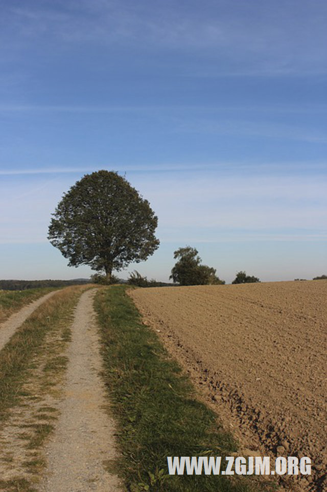 夢見和外國人談戀愛_周公解夢夢到和外國人談戀愛是什麼意思_做夢夢見和外國人談戀愛好不好_周公解夢官網