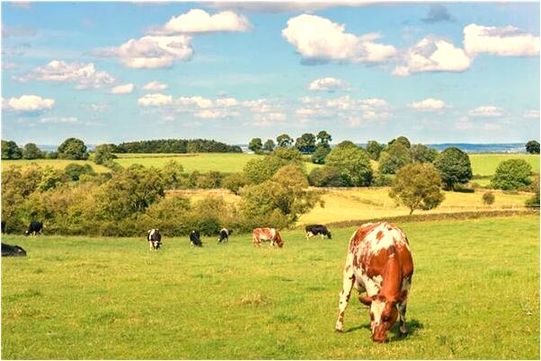 夢到了親人臉髒會怎么樣_周公解夢官網