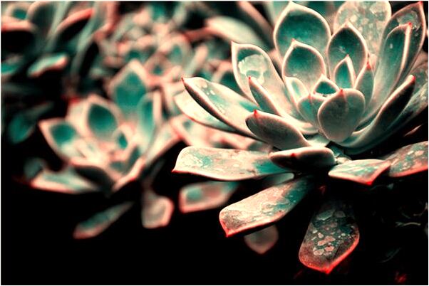 夢見情侶離開是什麼意思？_周公解夢官網