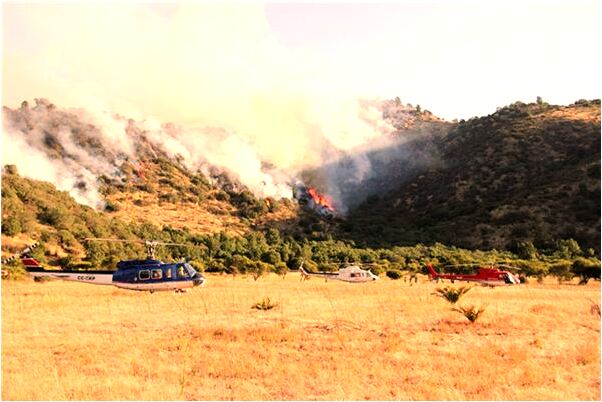 夢見死人回生意味著什麼_周公解夢官網