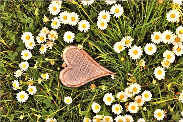 夢到自己偷撿錢有什麼徵兆_周公解夢官網