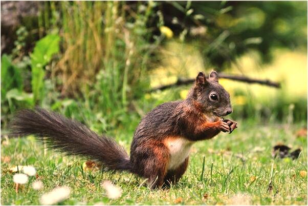 夢見自己左右乳房流乳液有什麼意思_周公解夢官網
