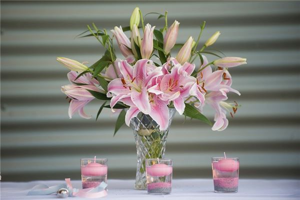 夢見百合花開是什麼預兆_周公解夢