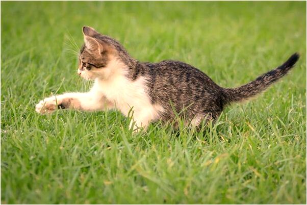 夢見馬路上撞到預示著什麼_周公解夢官網