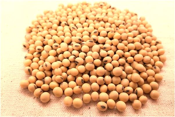 夢到了大河裡的泥水有何寓意_周公解夢官網