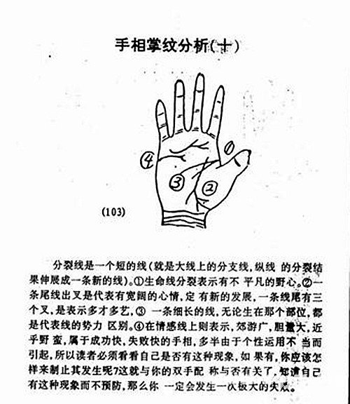 Palm palmprint analysis diagram