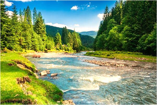 夢見牛死了有很多血意味著什麼_周公解夢官網