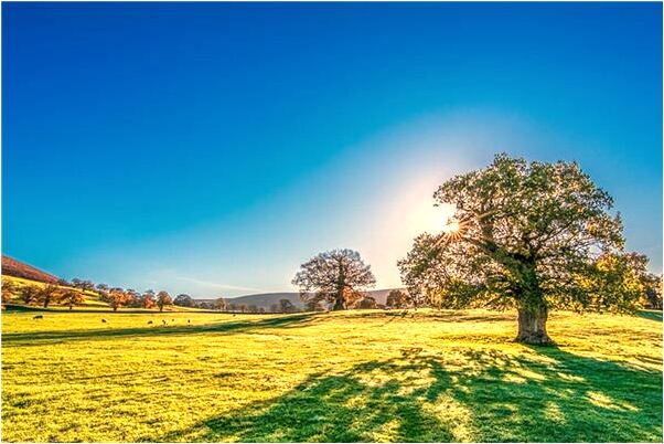 夢到了我離開了男友是咋回事_周公解夢官網