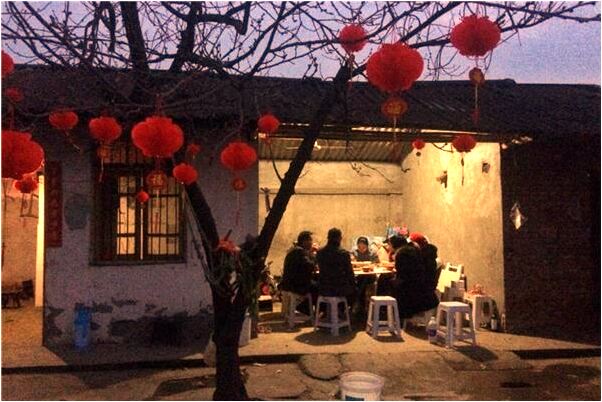 夢到好多狗和大象代表什麼_周公解夢官網