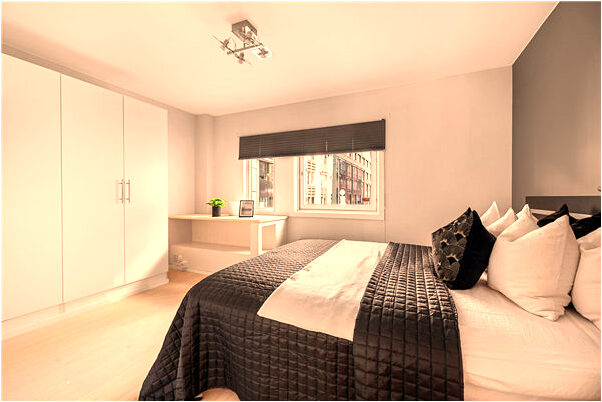 夢到白豬娃預示了什麼_周公解夢官網