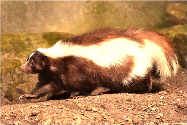 夢到了已去逝的姥姥推我家門有什麼意思_周公解夢官網