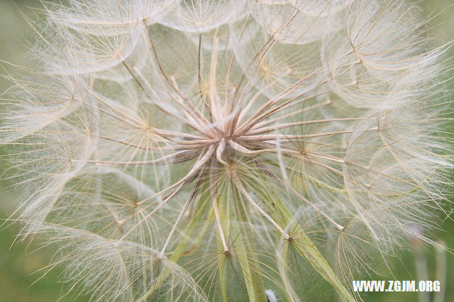 夢見老婆我掉水裡了_周公解夢夢到老婆我掉水裡了是什麼意思_做夢夢見老婆我掉水裡了好不好_周公解夢官網