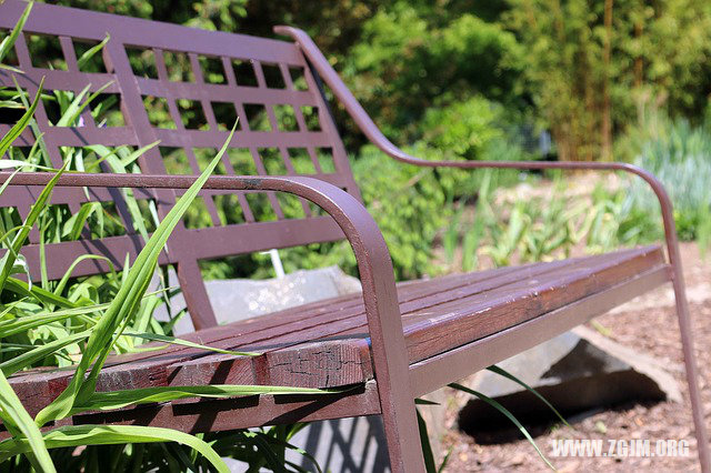 夢見好多白頭髮_周公解夢夢到好多白頭髮是什麼意思_做夢夢見好多白頭髮好不好_周公解夢官網