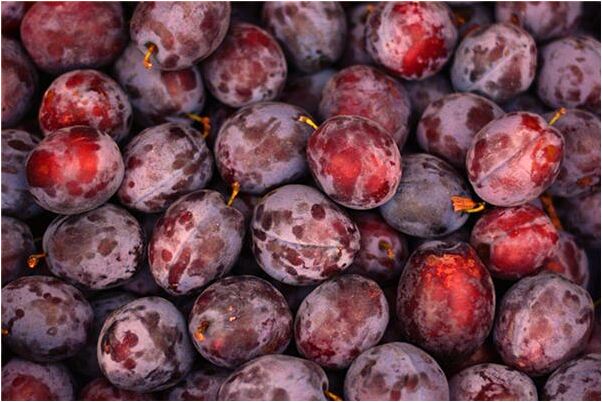 夢見食人魚魚代表著什麼？_周公解夢官網