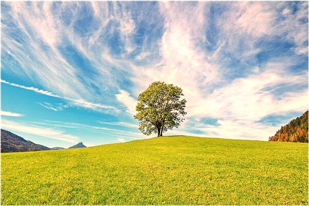 夢到別人給孩子錢被阻止怎么說_周公解夢官網